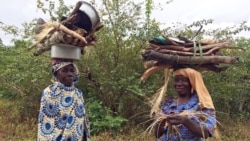 Moçambique: Mulheres à procura do seu espaço nos centros de decisão