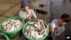 ထိုင္းႏုိင္ငံ၊ ဆမြတ္ စခြန္ခ႐ိုင္တြင္ ကားေပၚသို႔ ငါးေတာင္းမ်ားတင္ေနေသာ ျမန္မာအလုပ္သမားမ်ား။ ဇူလိုင္ ၂၀၊ ၂၀၁၂။