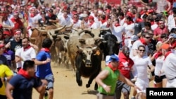 Suasana festival "Great Bull Run" di kota Petersburg, Virginia (24/8). Festival yang pertama kalinya diadakan di Amerika ini diselenggarakan dengan jarak sekitar 402,3 meter, lebih pendek dari perayaan historik yang biasa digelar di Pamplona, Spanyol.