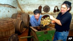 FILE - From right, Nikoloz Mamiashvili and Amiran Getiashvili press grapes in a local wine cellar in the wine rich Kakheti region of Georgia, about 100 km (62 miles) east of Tbilisi, Sept. 24, 2006. (AP Photo/ Shakh Aivazov)