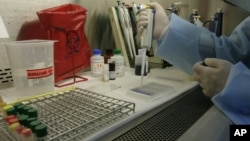 A Thai technician works on blood samples of volunteers at a lab at the Armed Forces Research Institute of Medical Sciences in Bangkok, Thailand.