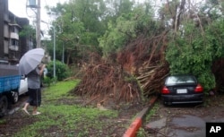 A man takes a photo of a damaged tree and car after typhoon Soudelor hit Taipei, Aug. 8, 2015, in Taipei, Taiwan.