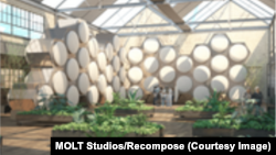 An artist's image of what a compost center for human bodies could look like. 