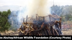Ethiopia's Ivory Burn at Gulele Botanical Garden in Addis Ababa