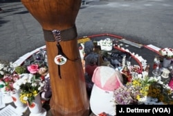 A makeshift shrine to 21-year-old David Dragicevic is the focus of nightly rallies demanding justice. The IT student’s body was found dumped in a sewer six days after he disappeared.