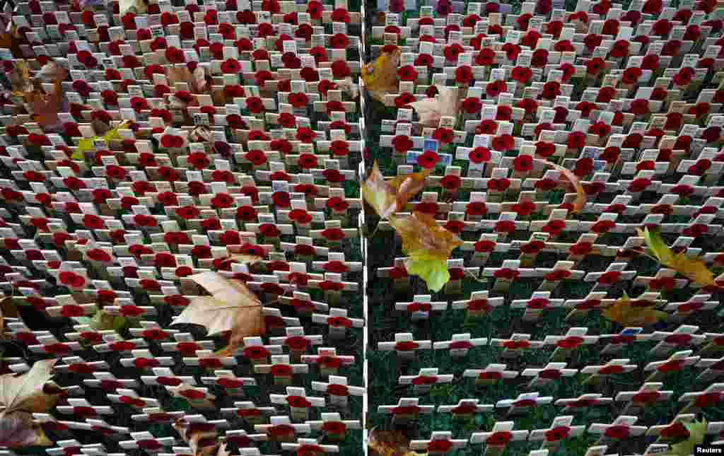 Fallen leaves are seen on small crosses planted in the Field of Remembrance at Westminster Abbey in London.