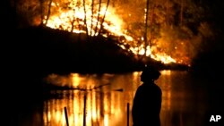 A firefighter stands near a wildfire in Middletown, California, Sept. 13, 2015.