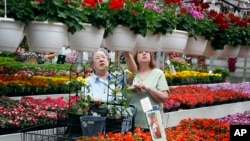 FILE - On the day before Mother's Day, Mary Jane Boots, left, and Clara Carder shop at a greenhouse in Zelienople, Pa., for Mother's Day flowers for the women of their church in Fombell, Pa., May 10, 2014.