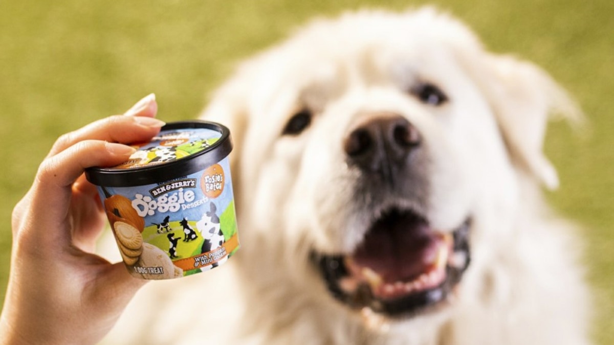 Doggie Desserts: Ben & Jerry's Enters the Pet Food Business - Vimarsana News