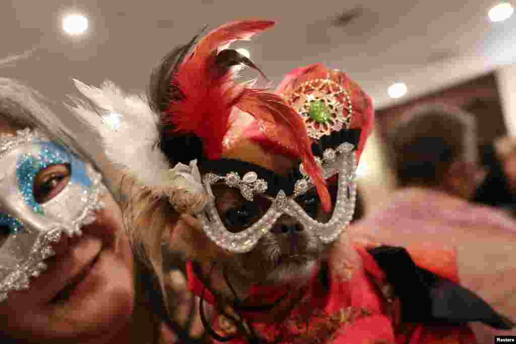 A woman holds a dog backstage at the 16th annual New York Pet fashion show in New York, U.S., Feb. 7, 2019.