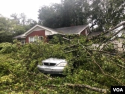 A tree fell on a homeowner's car, parked in the driveway as Hurricane Florence made landfall in Wilmington, North Carolina. (Photo: Jorge Agobian, Iacopo Luzi / VOA Spanish)