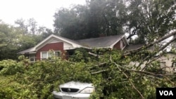 Un arbre est tombé sur une voiture à Wilmington, en Caroline du Nord, le 14 septembre 2018 (VOA/Jorge Agobian)