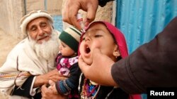FILE - A child receives a polio vaccination during an anti-polio campaign on the outskirts of Jalalabad, March 16, 2015.