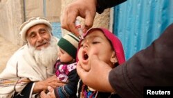 FILE - A child receives a polio vaccination during an anti-polio campaign on the outskirts of Jalalabad, March 16, 2015.