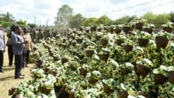 É urgente capacitar as forças armadas moçambicanas, analistas