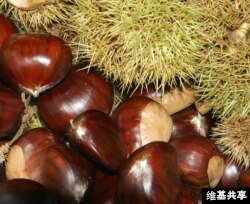 Chestnuts are low in fat and high in fiber.