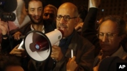 Egyptian Nobel Peace laureate and democracy advocate Mohamed ElBaradei addresses the crowd at Tahrir Square in Cairo, Jan 30, 2011