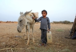 Malnourished boy Hassan Merzam Muhammad stands by a donkey near his family's hut in Abs district of Hajjah province, Yemen November 20, 2020. (REUTERS/Eissa Alragehi)
