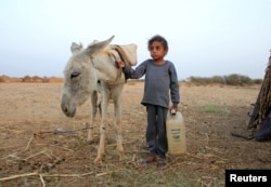 Malnourished boy Hassan Merzam Muhammad stands by a donkey near his family's hut in Abs district of Hajjah province, Yemen November 20, 2020. (REUTERS/Eissa Alragehi)