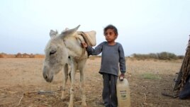 Malnourished boy Hassan Merzam Muhammad stands by a donkey near his family's hut in Abs district of Hajjah province, Yemen November 20, 2020. (REUTERS/Eissa Alragehi)