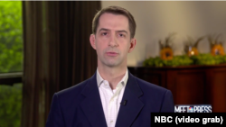 tom Cotton 