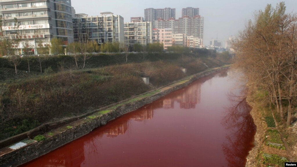 洛阳一条被污染的河流