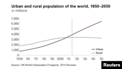 Urban and Rural Populations