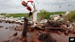 FILE- A worker picks up blobs of oil with absorbent snare on Queen Bess Island at the mouth of Barataria Bay near the Gulf of Mexico in Plaquemines Parish, Louisiana.