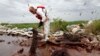 «محاسبه خسارت نشت نفت در خلیج مکزیک زمان زیادی می برد»