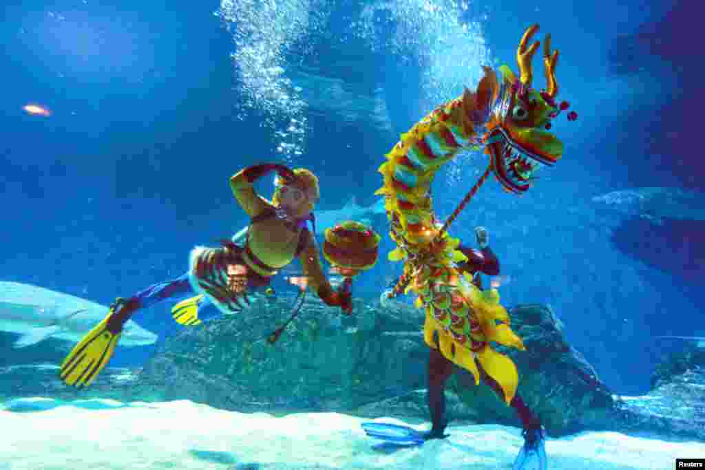 Divers wear costumes as they perform at an aquarium ahead of the upcoming Spring Festival inside a zoo in Beijing, China.