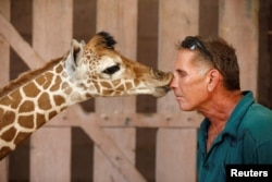 Safari keeper Guy Pear gets a kiss from a five-day-old reticulated giraffe, at an enclosure at the Safari Zoo in Ramat Gan, near Tel Aviv, Israel.