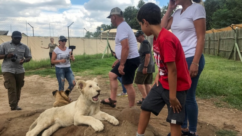 South African Breeders Worried about New Animal Cruelty Guidelines