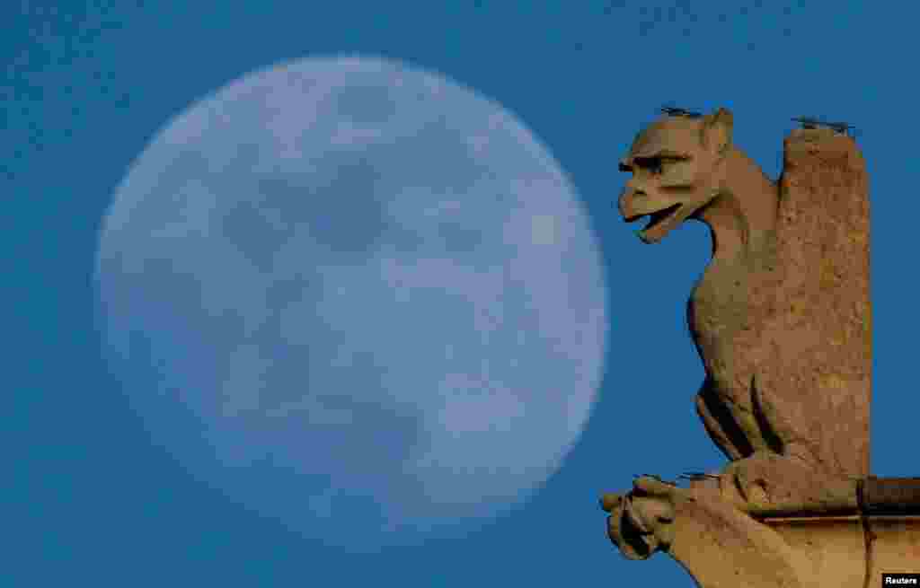 지난 8일(현지시간) 보름달이 뜬 가운데 촬영한 프랑스 파리 노트르담 성당의 석상.