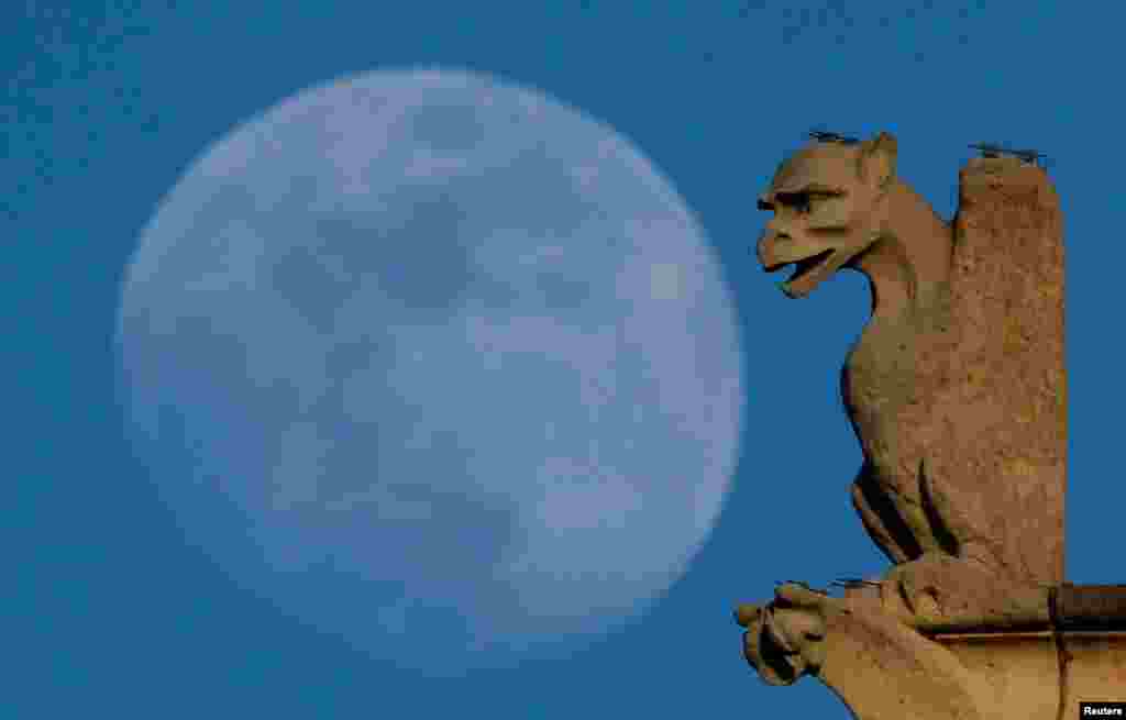 A gargoyle on the roof of Notre-Dame cathedral is seen in front of the moon in Paris, France, April 8, 2017.