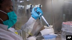 Puseletso Lesofi prepares to sequence COVID-19 omicron samples at the Ndlovu Research Center in Elandsdoorn, South Africa on Dec. 8, 2021. The center ls part of the Network for Genomic Surveillance in South Africa, which discovered the Omicron variant. (AP Photo/Jerome Delay)