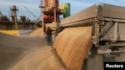 Dự báo mới nhất của Hội đồng Lúa gạo Quốc tế (IGC) dự báo sản lượng lúa mì toàn cầu sẽ tăng lên tới 719 triệu tấn trong tài khóa 2014-15.