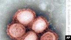 Combating H1N1 Influenza