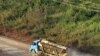 Camião com toros de madeira no Estado do Pará 