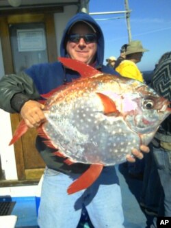 Shannon Hunter of Newport holds an opah caught last summer on the charter vessel "Misty." Opah is normally found in Hawaiian waters.