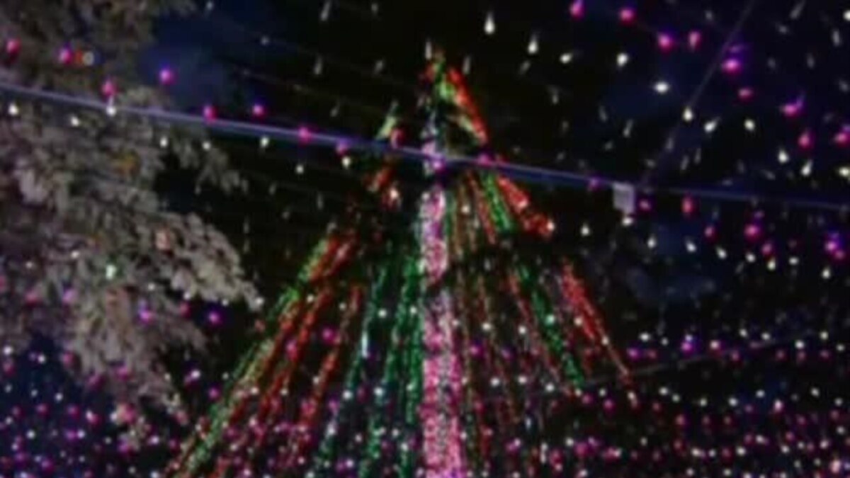 Australian Family Recaptures Christmas Light Record