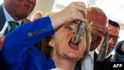 German chancellor Angela Merkel eats a pickled herring during a ceremony for a fishing boat, 2015. (AFP Photo)