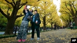 Women take a selfie with yellow leaves of ginkgo trees at Jingu Gaien, the outer garden of Meiji Jingu Shrien, in Tokyo, Nov. 21, 2016.