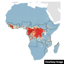 This map, based on a model created by a team led by Oxford University scientists, predicts that in animal populations the Ebola virus is likely to be circulating across a vast swathe of forested Central and West Africa.