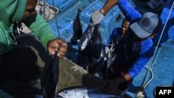 Para nelayan memuat hasil tangkapan di sebuah dermaga di Banda Aceh, 22 Agustus 2019. (Foto: AFP)