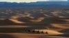 Tourists ride camels in Merzouga, Morocco along what is called the route of a thousand kasbahs in the Atlas Mountains, Sunday, March 5, 2017. 