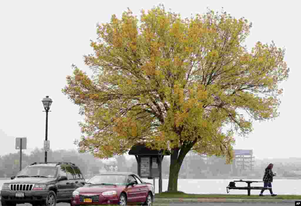 نمایی از پائیز در نیویورک