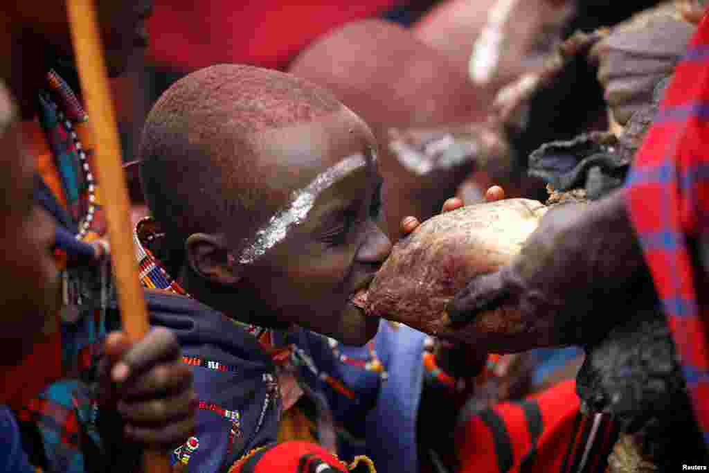 A Maasai boy bites a bull's heart during an initiation into an age group ceremony near the town of Bisil, Kajiado county, Kenya, August 23, 2018.