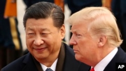 Xi Jinping, à gauche, et Donald Trump, Pékin, Chine, le 9 novembre 2017.