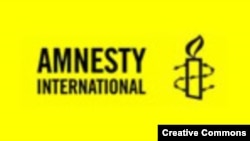 Kundi la kutetea haki za binadamu, Amnesty International
