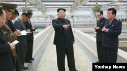 김정은 북한 국방위원회 제1위원장이 대동강 자라공장을 현지지도했다고 조선중앙통신이 19일 보도했다.